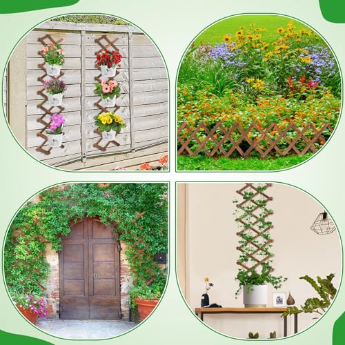 2Packs 13x78in Expandable Wood Wall Trellis for Climbing Plants Outdoor - Lattice Panels for Outside Indoor Balcony Patio Garden, Ideal for Ivy, Vines, Clematis, Roses - style: 2 packs
