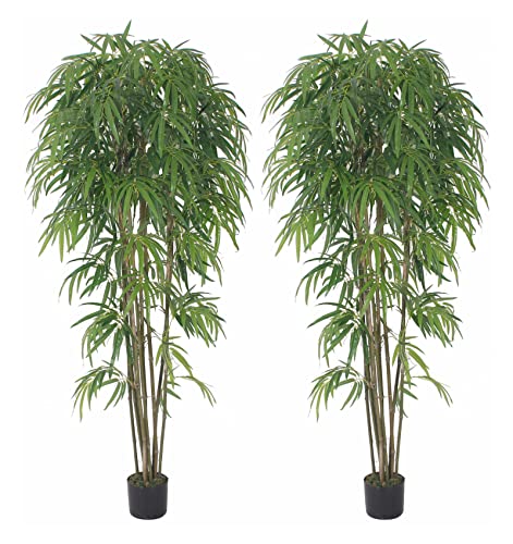 AMERIQUE 691322305166 Gorgeous & Massive 7' Bamboo Trees Artificial Silk Plant with UV Protection, with Nursery Plastic Pots, Feel Real Technology, Super Quality, (Pack of 2), 84" Each, Green