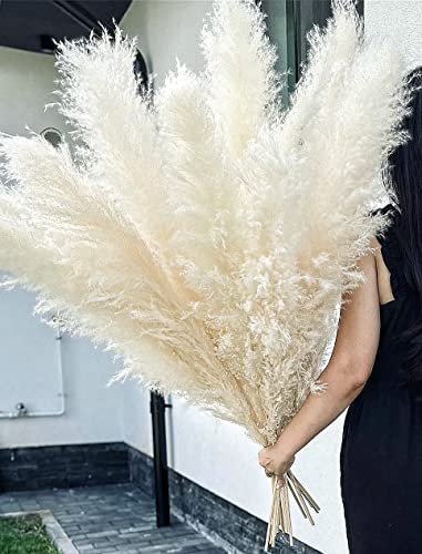 10 Stems 46" inch White Pampas Grass Decor Tall, Large Pompas Grass, Boho Neutral Home Decor Bouquet, Fluffy Pampass Grass for Floor Vase Wedding Floral Arrangements Wall Farmhouse Table Decor - size: 10PCS 46inch White