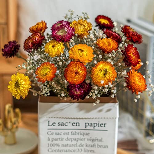 Dried Flowers Natural Daisy Mums Flower - 20 Stems Multicolor Daisies Artificial Sunflowers, Dry Fall Orange Flowers Bouquets for Vase, Wedding Home Farmhouse Decor, DIY Table Centerpiece Decoration