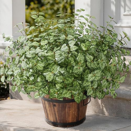 Ivydale Artificial Plants Outdoor 5 Pcs, Faux Greenery Plants Outdoor UV Resistant Silk Plants with Stems, Fake Plants for Outside Planter Front Porch Patio Pathway Decoration(Green) - color: Green