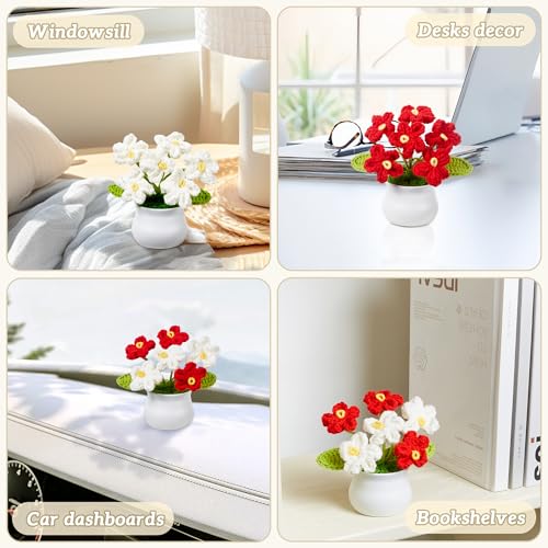 LAIDANLA Crochet Flowers Forget Me Not, Red Crochet Flower Potted Plant for Desk, Handmade Anniversary Graduation Birthday Small Gifts for Women Teacher Mom Coworker Friend - color: Red