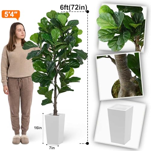 Aveyas 6ft Artificial Fiddle Leaf Fig Tree for Home Decor, 6 Feet Large Faux Plant Fake Ficus lyrata Silk Trees with Pot for Indoor Outdoor House Living Room Office (6 ft Tall Including Raised Pot) - color: Fiddle Leaf Fig Tree (6ft)