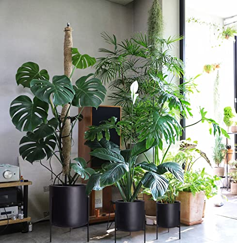 D'vine Dev Mid Century Plants Pot Cylinder Planter with Heavy Duty Stand, XX-Large 16 Inch Pot, 22.8 Inch with Stand Height, Black, 96-T-B-5 - color: Black, size: XX-Large 16 Inch