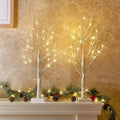 PEIDUO Home Decor, 2FT Birch Tree with LED Lights, Warm White Light up Tree Lamp, Artificial Trees for Home Table Inside, Battery Powered, Timer (2PK) - style: 2PK Birch Tree