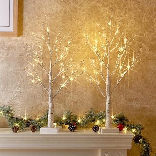 PEIDUO Home Decor, 2FT Birch Tree with LED Lights, Warm White Light up Tree Lamp, Artificial Trees for Home Table Inside, Battery Powered, Timer (2PK) - style: 2PK Birch Tree