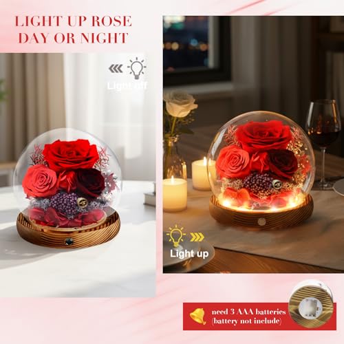 Preserved Flower Red Rose in Glass, Eternal Roses Gifts for Women, Mom, Girlfriend, Wife, Her on Christmas, Valentine's Day, Mother's Day, Birthday, Anniversary