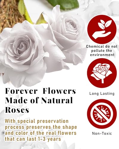 Changshunqi 16 Flowers Forever Preserved Roses in Box, Preserved Flowers Womens Birthday Gifts for Women Mothers White Rose Gift for Her Romantic Eternal Rose for Women Mom Friends - color: Pure White