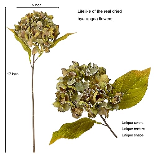 TOPIA Silk Fall Flowers Artificial Silk Dried Hydrangea Artificial Fall Florals Bouquet Dried Flowers Autumn Decorations for Office and Home(6 PCS) (Green) - color: Green