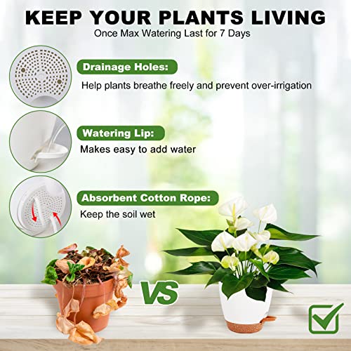 Vanslogreen Plant Pots for Indoor Plants 5 Pack Self Watering Planters, 7/6.5/6/5.5/5 Inch Self Watering Pots with Drainage Hole Plastic Flower Pot for Herbs, Succulents, African Violet (White) - color: White-5pack, size: 7/6.5/6/5.5/5 inch