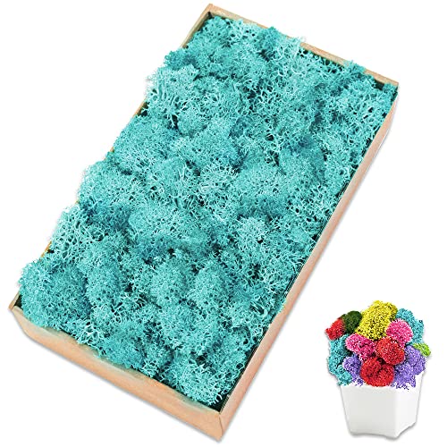 Preserved Moss for Crafts Blue Reindeer Moss for Potted Plants, Craft Decorative Moss Decor for Wall Art, Dried Moss(7oz, Blue) - color: Blue, size: 7 OZ