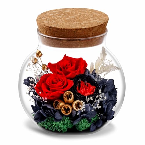 NATROSES Christmas Birthday Gifts for Women - Handmade Preserved Flowers Wish Bottle for Valentine's Day, Mother's Day, Anniversary, Home Decor (Red) - color: Red