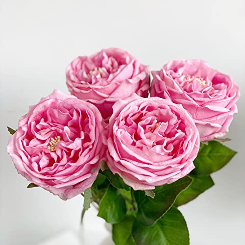 YalzoneMet 3.5'' Big Bloom Rose Artificial Flowers Pink 4Pcs Real Touch Rose Faux 17.7 Inch Long Stem Austen Roses Peonies Fake Flowers for Home Kitchen Party Christmas Flower Wedding Decor - color: Pink