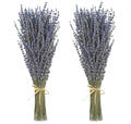 Dried Lavender 2 Bunches 100% Fresh Natural Purple Bouquet Flowers for Bathroom Photo Props Crafts Decoration, 15-17" for Shower Weeding Vase Decor, Home Fragrance(200-220 Stems(100g/3.5oz Total)) - size: 2 Bunches Lavender
