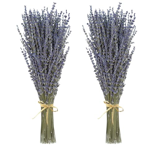 Dried Lavender 2 Bunches 100% Fresh Natural Purple Bouquet Flowers for Bathroom Photo Props Crafts Decoration, 15-17" for Shower Weeding Vase Decor, Home Fragrance(200-220 Stems(100g/3.5oz Total)) - size: 2 Bunches Lavender