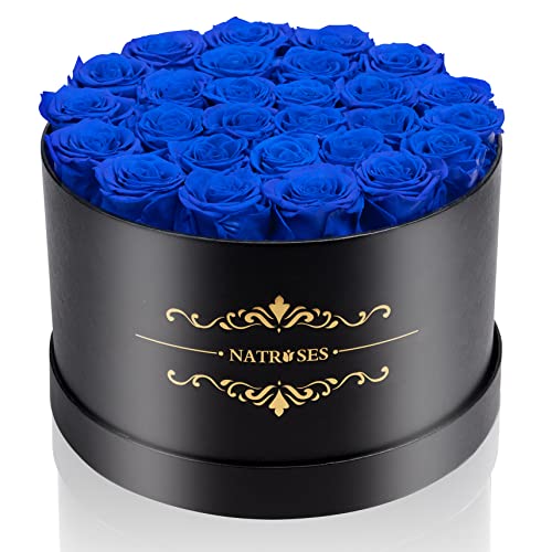 NATROSES Gifts for Her 27 Piece Forever Preserved Roses in a Box, Preserved Flowers for Delivery Birthday, Flowers Gifts for Mothers Day, Royal Blue - color: Royal Blue, size: 27 Roses