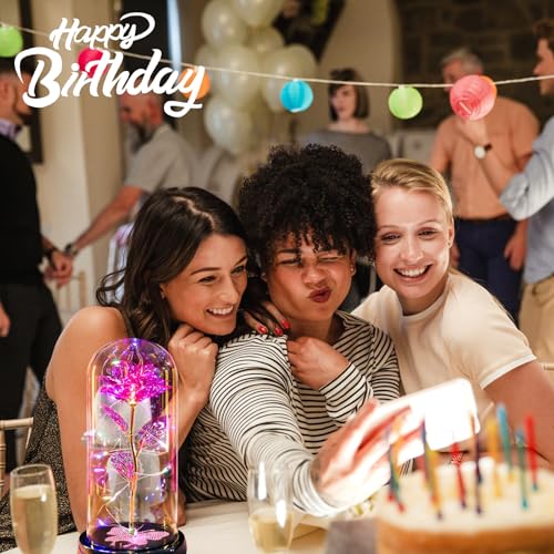 Gifts for Mom Birthday Gifts for Women Pink Rose Eternal Flower USB Light Up Rose in Glass Dome Anniversary Flowers for Delivery Prime Galaxy Crystal Flowers Gifts for Mom Women Wife Grandma - color: Usb-pink