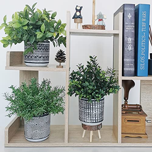 Winlyn Set of 3 Small Potted Plants Artificial Eucalyptus Rosemary Boxwood Plants in Black and White Geometric Pots for Table Centerpiece Kitchen Counter Windowsill Indoor Outdoor Garden Greens Decor
