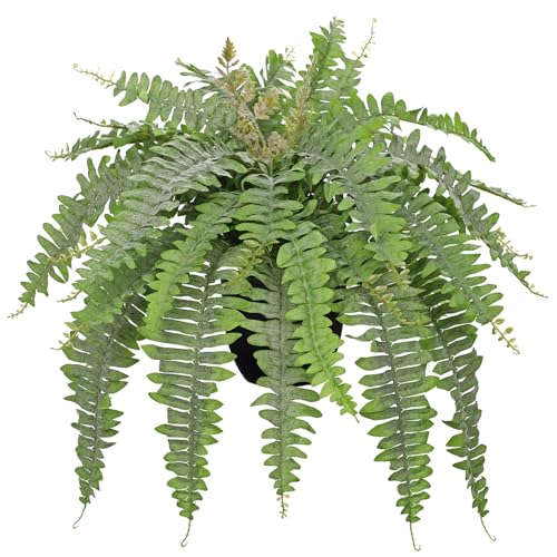 Hollyone Artificial Fern Plants in Pot 25.5" Medium Artificial Boston Fern 31 Leaves for Outdoors & Indoor Faux Potted Plant Fake Ferns Bush Plant Patio Garden Farmhouse Porch Home Decor Dusty Green - color: Black Pot - Dusty Green Medium
