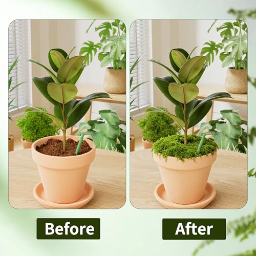 Fake Moss for Plants Indoor, 3.5OZ Dual-Color Artificial Moss for Crafts, Realistic Faux Moss for Terrariums, Fairy Gardens, Potted Plants, DIY Home Decor, Glass Jars, Light & Dark Green（100g） - size: 100