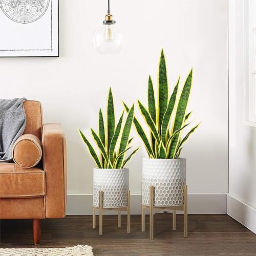 Melorca&Guilla Artificial Plants 6PCS 30“Tall Faux Snake Plant,Fake Snake Plants Artificial Snake Plants Agave Sansevieria Greenery for Garden Shop Office Home Décor - color: Yellow Snake Plants