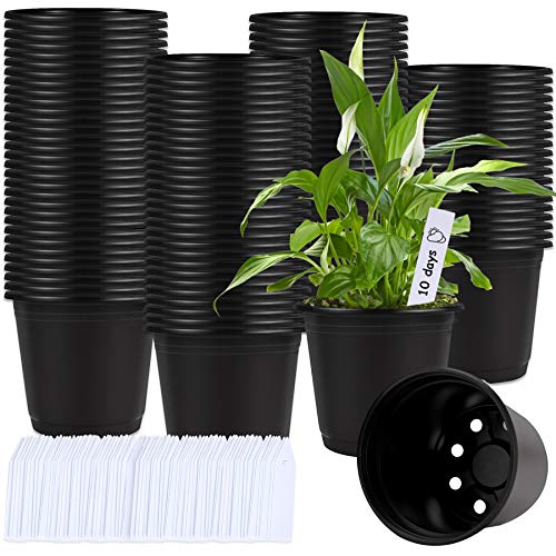 Augshy 110 Pcs 0.5 Gallon Black Plastic Plant Nursery Pots 6 Inches Seed Starting Pots Containers with 110 Labels - size: 6 Inches