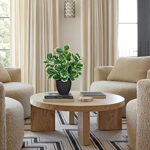 Sets of 2 Artificial Plants Indoor Home Decor, 14.5" Fake Potted Silk Plants for Shelves Living Room Decor, Small Artificial Office Desk Plant in Pots, Faux Peperomia Hope Tropical House Plant - color: 2 Sets #Funny White Margin