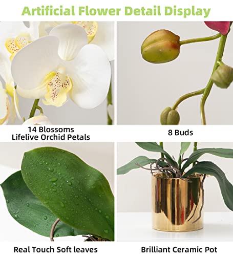 Artificial Orchid Flowers White Faux Orchids with Ceramic Vase Vivid Fake Phalaenopsis Flower Arrangement Gorgeous Artificial Plants for Office Desk Wedding Party Exhibition Center & Home Table Decor - color: White-golden