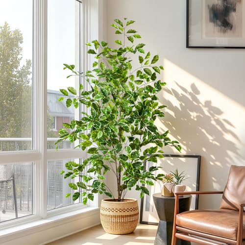 Bailikang Artificial Ficus Tree Indoor 4ft, Large Potted Faux Tree with Realistic Silk Leaves & Trunk for Home Office, Living Room Corner Decor - color: White Green, size: 4ft