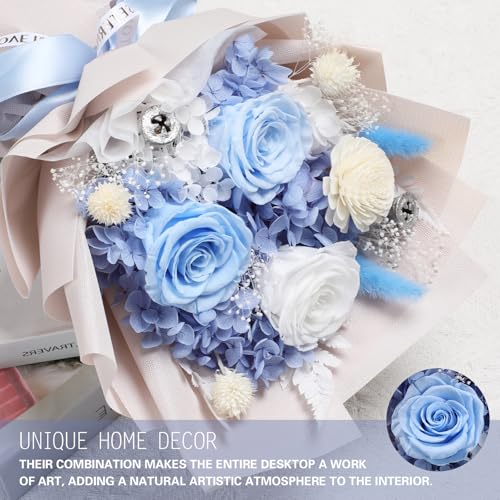 Casaido Preserved Flowers for Delivery, Mothers Day Blue Flower Bouquets with Necklace, Forever Real Roses Anniversary Birthday Valentines Day Christmas Rose Gifts for Women Mom Wife Girlfriend - color: Blue