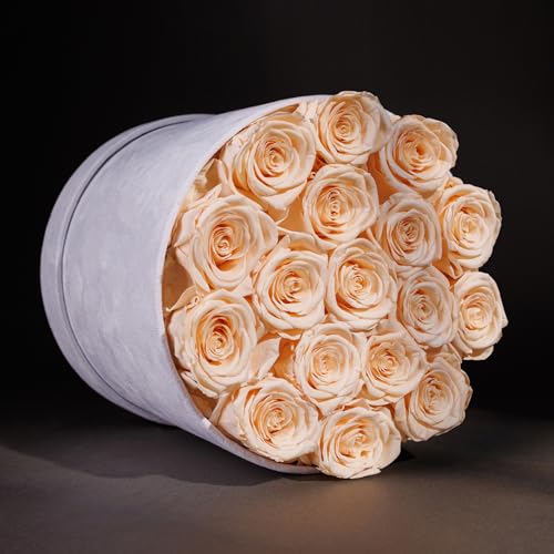 Prifroti 17 Flowers in a Luxury Suede Box, Birthday Gifts for Women, Preserved Flowers, Mothers Day Roses Gift for Mom, Champagne - color: Champagne, size: 17 Roses