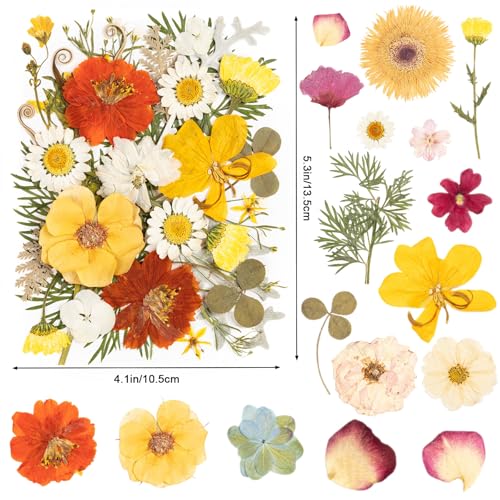 140pcs Dried Pressed Flowers Bulk, Natural Fall Pressed Dried Flowers with Tweezer for DIY Crafts Resin Mold Candles Cake Bridal Scrapbooking Supplies - size: Elegant