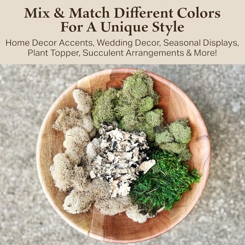 Quality Growers - The Moss Collection Variety Pack - Natural Decorative Moss - Crafts, Home Decor, Art, Design & DIY Projects - Non-Toxic - Made in USA - Original, Medium, 2-Pack - color: Original, size: Medium (2-Pack)