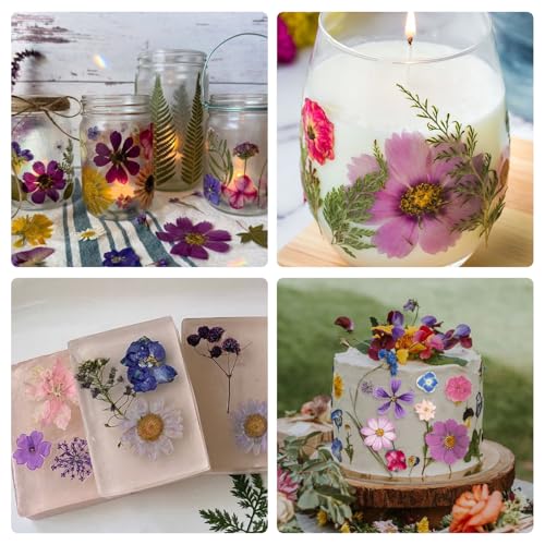 80PCS Spring Large Pressed Flowers Leaves , Real Nature Dry Flowers for Resin Craft, Larage Pressing Floral with Tweezers Set for DIY Jewelry Making Nail Card Scrapbook Art - size: Vintage