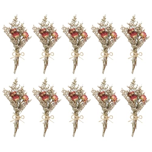 PATIKIL Mini Dried Flower Bouquet, 10 Pcs Rose Natural Wildflower with Stem Decor Baby's Breath Boho Floral Plant Flower for Crafts DIY Photo Props Gift Wedding Decor, Dark Red - color: Dark Red