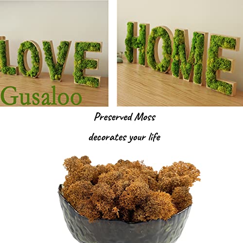 Moss Preserved Artificial Moss Natural Fresh Green Reindeer Moss for Craft Arts Floral Project Wall Decor Table Decor Wedding Centerpieces Garden Terrariums Decoration-Brown 3.5OZ - color: Brown, size: 3.5oz
