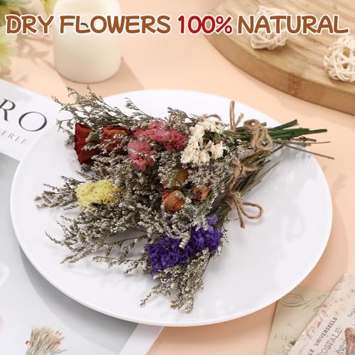 12 Pack Mini Dried Flowers for Vase Multicolor Wedding Various Mini Bouquet Dried Small Wildflowers Natural Flowers Bulk for Crafts DIY Decor