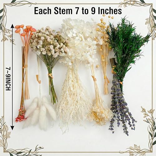 LUXEEASE Mixed Mini Dried Flowers Bouquet 176 Stems, 11 Kinds Natural Preserved Flowers (Lavender, Baby's Breath, Bunny Tails) , Boho Farmhouse Home Wedding Centerpiece Décor - color: Natural Neutrals