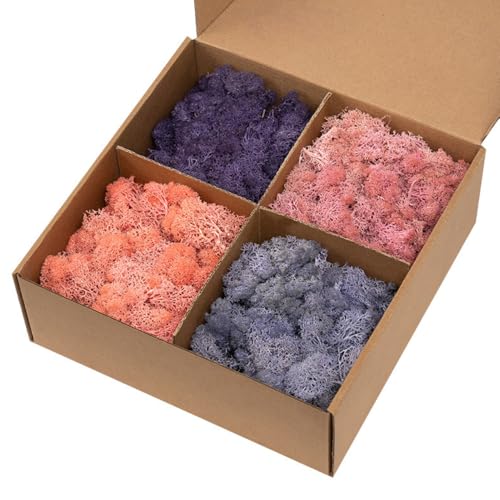Preserved Reindeer Moss, Natural Decorative for Home Decor, DIY Crafts, Moss Wall Art, Terrariums, Floral Arrangements, Wedding & Holiday Decorations, Total 14oz (Rosy Meadow) - color: Rosy Meadow