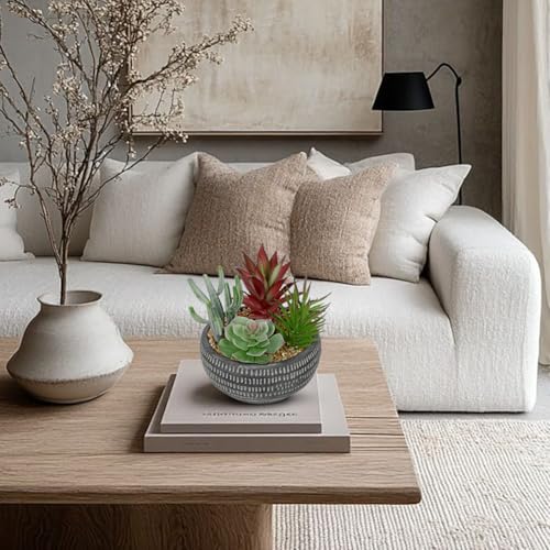 Briful Fake Succulents in Black Cement Pot, Artificial Succulent Plants Arrangement for Home Decor, Small Faux Potted Plants Tabletop Centerpiece, Desk Office Bathroom Shelf Decorations - color: Black