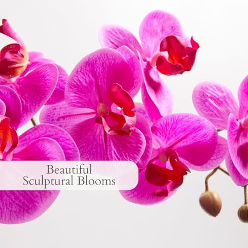CG Hunter Faux Pink Orchid Plant, Premium Artificial Indoor Flower Display Stands 25-Inches with Beautiful Sculptural Blooms and Foliage that Lasts Forever, Grey Planter Pot Included - size: 25" Pink Double Stem