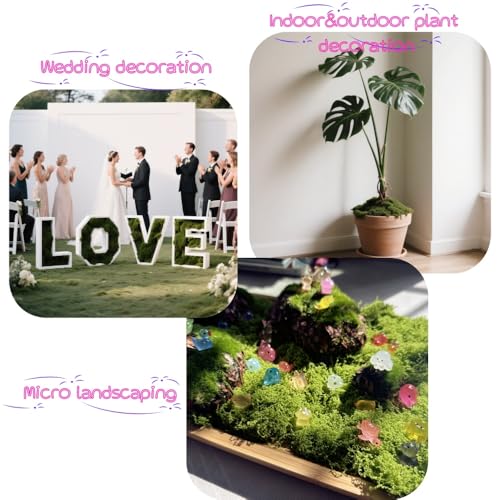 3.53oz Fake Green Moss for Potted Plants, Artificial Faux Moss for Crafts, DIY Decor, Fairy Gardens, Table Centerpieces, Wedding & Home Decor (100g Dark Green)