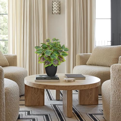 14.5" Artificial Plants Indoor Home Decor, Fake Potted Silk Plants for Shelves Living Room Decor, Small Artificial Office Desk Plants in Pots, Faux Grape Leaf Vine Hope Tropical House Plant Sets of 2 - color: 2 Sets # Rusted Green