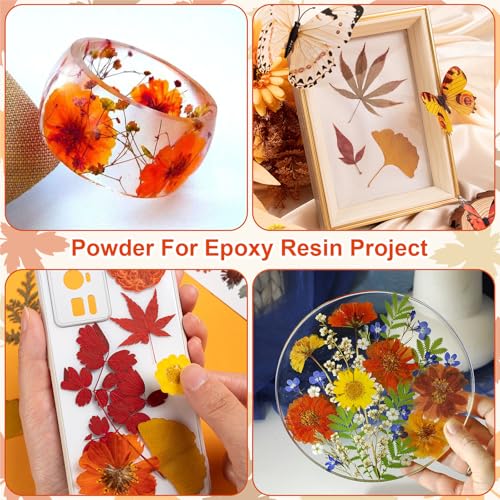 78 Pcs Fall Dried Pressed Flowers with Tweezer, Fall Themed Real Dried Flowers Leaves for DIY Crafts Resin Molds, Yellow Orange Dried Flowers for Autumn Halloween Thanksgiving Decorations - size: Orange