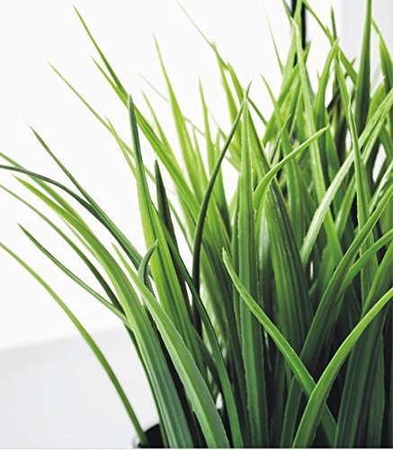 CATTREE Artificial Shrubs Bushes, Plastic Wheat Grass Green Leaves Fake Plants Wedding Indoor Outdoor Home Garden Verandah Kitchen Office Table Centerpieces Arrangements Christmas Decoration 4 pcs - color: Wheat Grass-4 Pcs