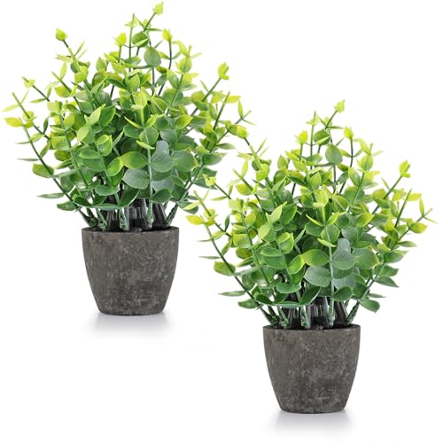 FAVOWREATH 2 Pack Fake Plants Ceramic Mini Artificial Greenery Potted Plants for Home Decor Office Decor Room Decor Farmhouse Decor Indoor Table Bathroom Decor - color: 2 Black