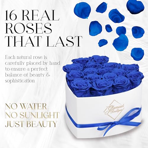 GLAMOUR BOUTIQUE Preserved Roses in a Box - Gifts for Her, Wife & Mom, Rose Flowers Forever Decor for Birthday Gift, Get Well Flower Bouquet Cased in White Box with Cover, Blue, 16 (Color-Treated) - color: Blue, size: 16 Roses Heart Box