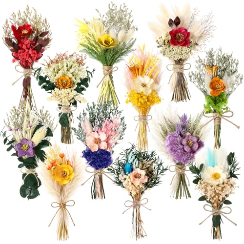 Layhit 12 Pcs Boho Dried Flower Bouquet Mini Wedding Handmade Dry Flowers Decor for Vase Crafts DIY Photo Boutonniere for Men Floral Plant for Bridesmaid Gift Birthday Decor(Camellia) - style: Camellia