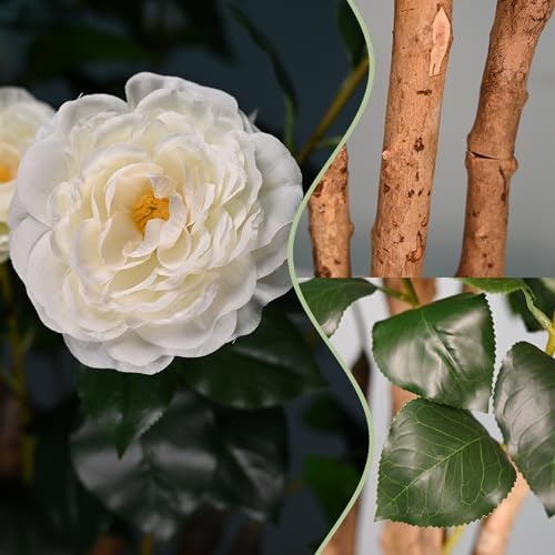 Lifelike Artificial Trees Camellia with Natural Wood Trunks, Evergreen Silk Faux Rose Trees with Silk Flowers, Home Decor Indoor for Living Room, Porch, Office（White，5FT*1） - color: White, size: 5ft