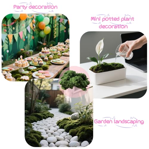 3.53oz Fake Green Moss for Potted Plants, Artificial Faux Moss for Crafts, DIY Decor, Fairy Gardens, Table Centerpieces, Wedding & Home Decor (100g Dark Green)